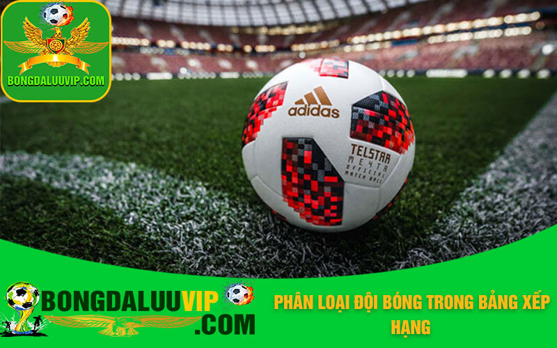 Phân loại đội bóng trong bảng xếp hạng