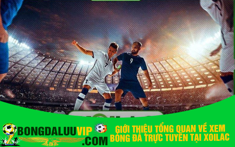 Giới thiệu tổng quan về xem bóng đá trực tuyến tại Xoilac