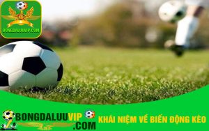 Khái niệm về biến động kèo